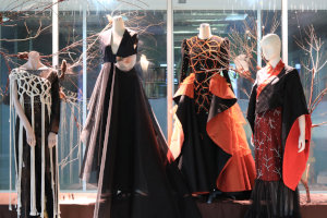 Window Display